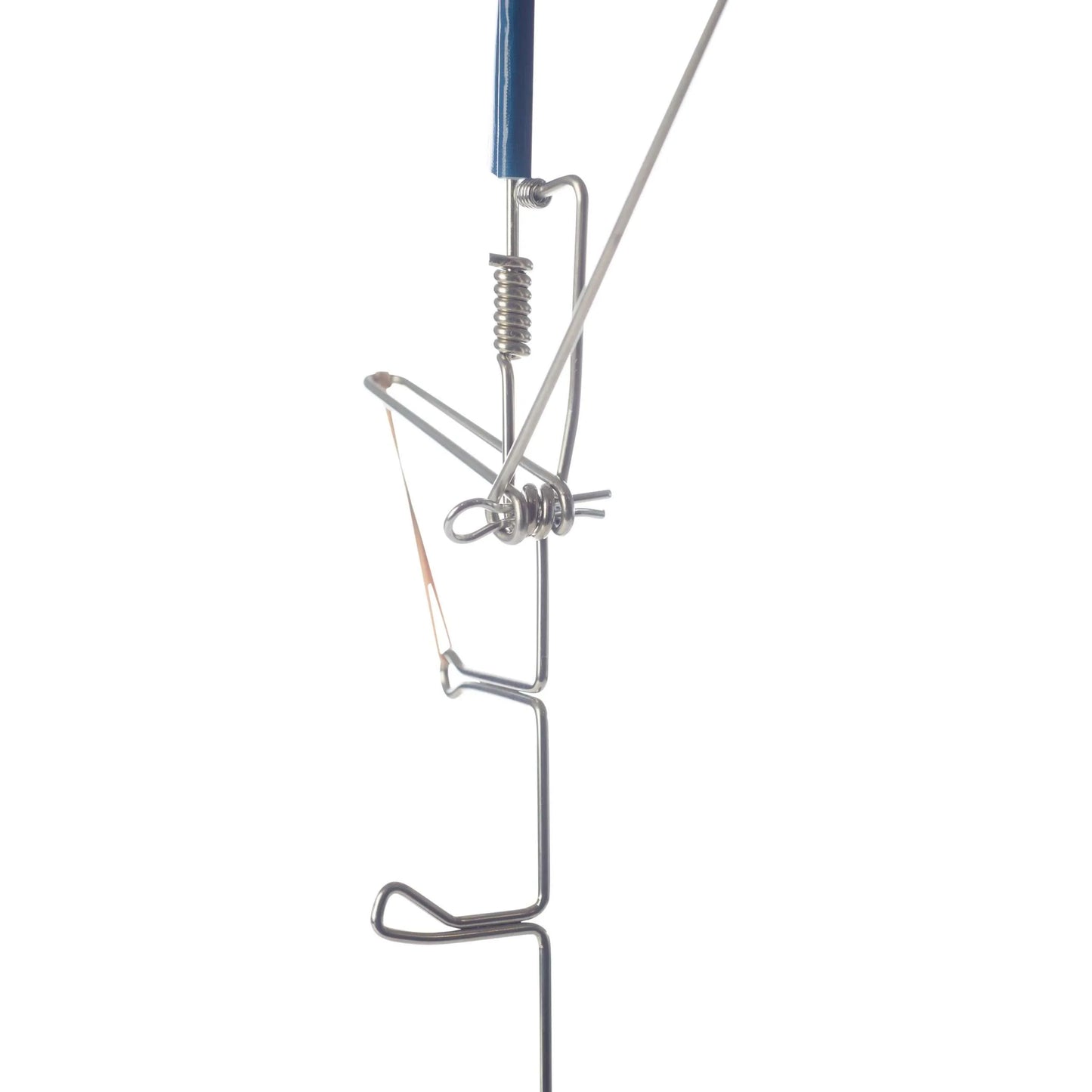 Oval Reel Stimulates Aggressive Behavior in Fish Species